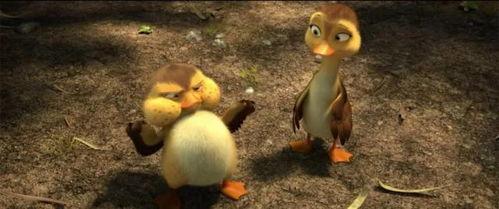 鸭子国产视频,鸭子的趣味生活大揭秘  第2张