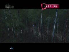 国产精品大陆在视频,影视盛宴，展现中国魅力  第2张